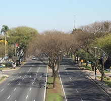 desentupidora no taruma